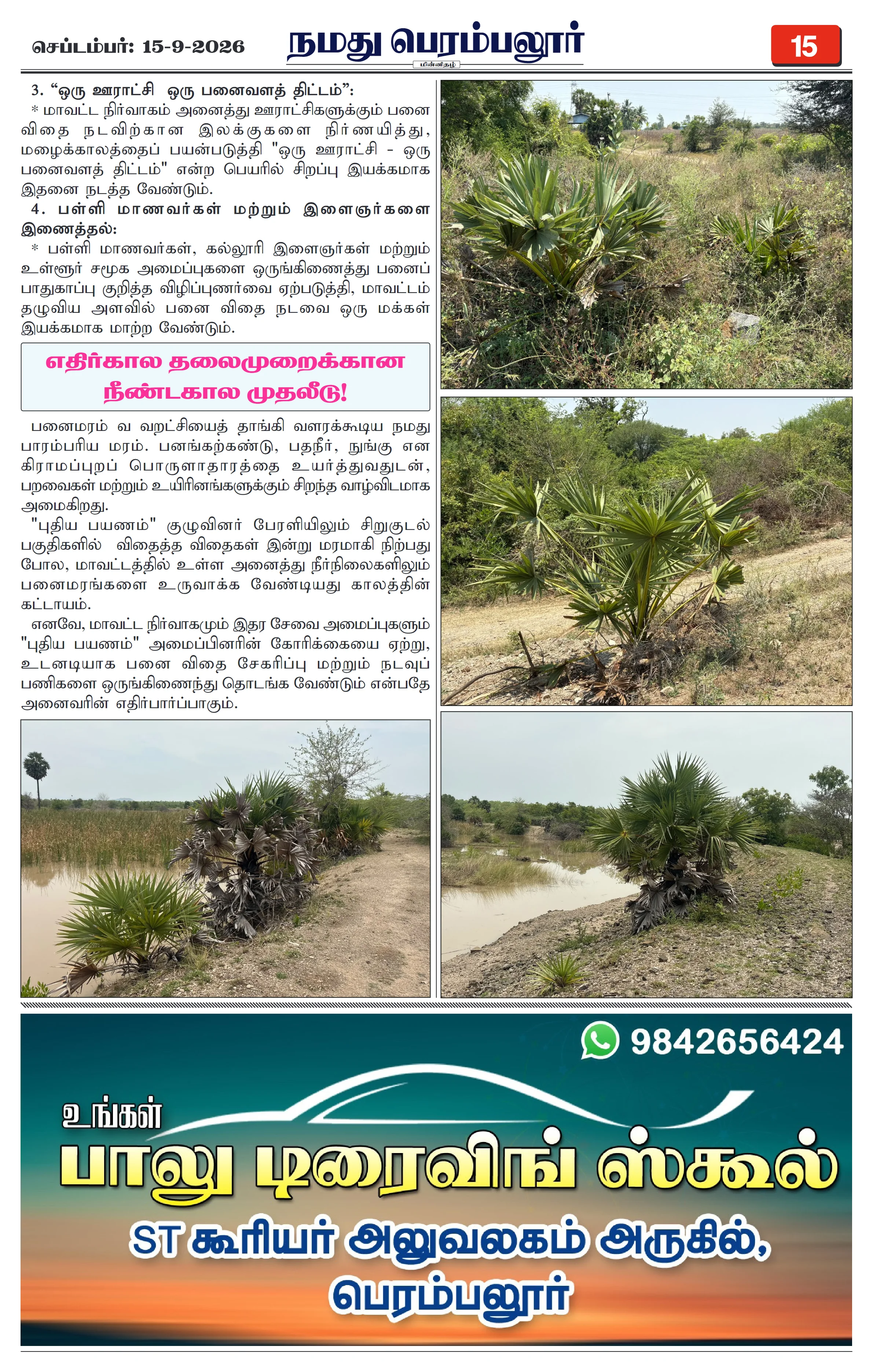 Page 15